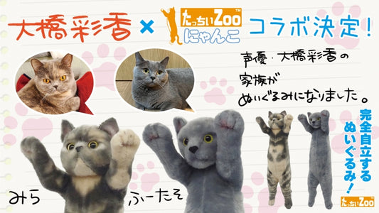 Ayaka Ohashi MIRA Collaboration | Standing ZOO Cat - Tacchii Zoo Nyanko