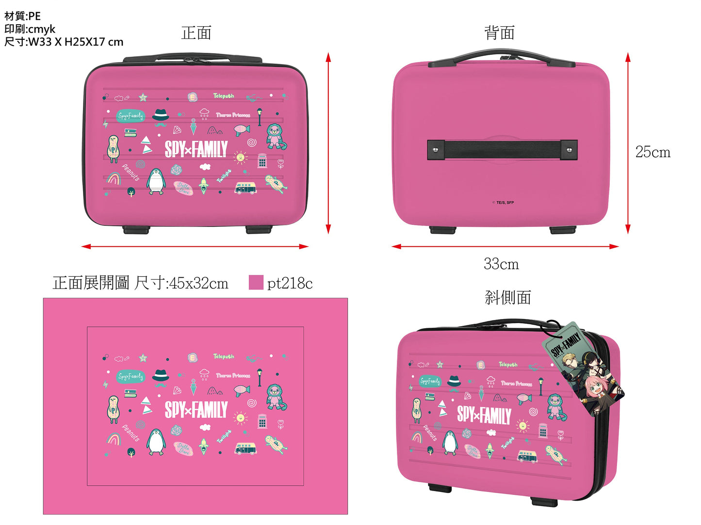 收納盒(ICON) | SPYxFAMILY