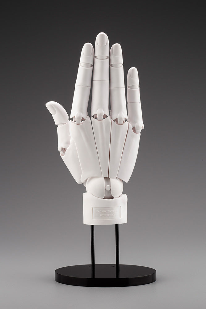 HAND MODEL/R -WHITE- | ARTIST SUPPORT ITEM