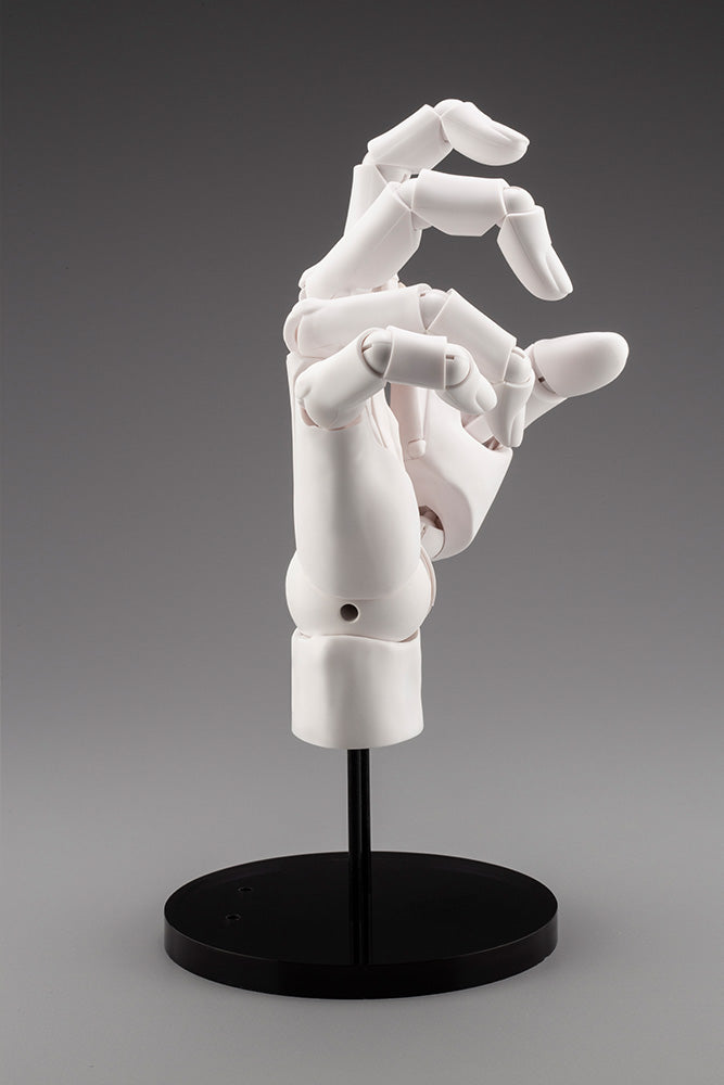HAND MODEL/R -WHITE- | ARTIST SUPPORT ITEM