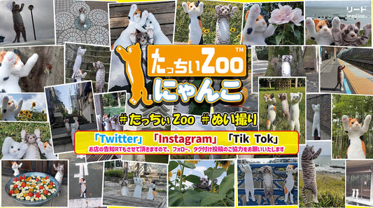 ZOO Series by LEAD INC.