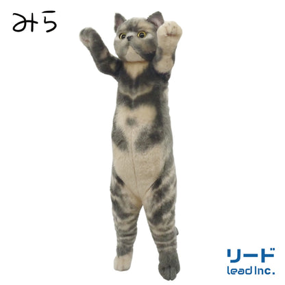Ayaka Ohashi MIRA Collaboration | Standing ZOO Cat - Tacchii Zoo Nyanko