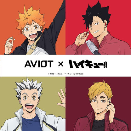 AVIOT TE-Q3-HK Haikyu!! Collaboration Model