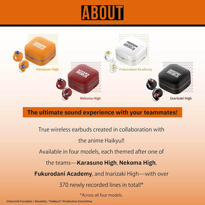 AVIOT TE-Q3-HK Haikyu!! Collaboration Model