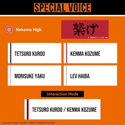 AVIOT TE-Q3-HK Haikyu!! Collaboration Model