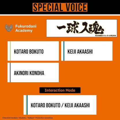 AVIOT TE-Q3-HK Haikyu!! Collaboration Model
