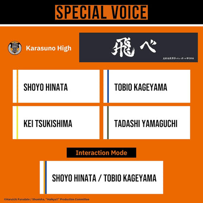 AVIOT TE-Q3-HK Haikyu!! Collaboration Model