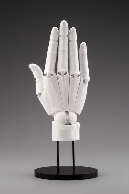 HAND MODEL/R -WHITE- | ARTIST SUPPORT ITEM
