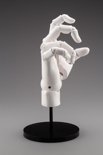 HAND MODEL/R -WHITE- | ARTIST SUPPORT ITEM