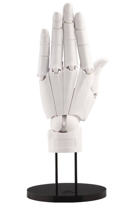 HAND MODEL/L -WHITE- | ARTIST SUPPORT ITEM