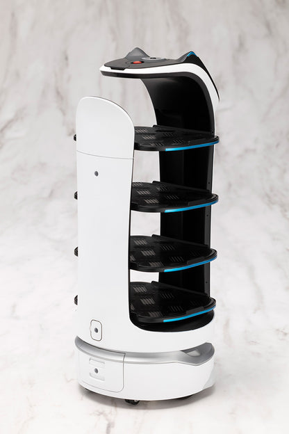 GRANDE SCALE BellaBot