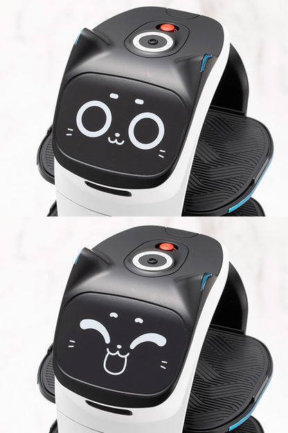 GRANDE SCALE BellaBot