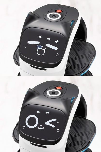 GRANDE SCALE BellaBot