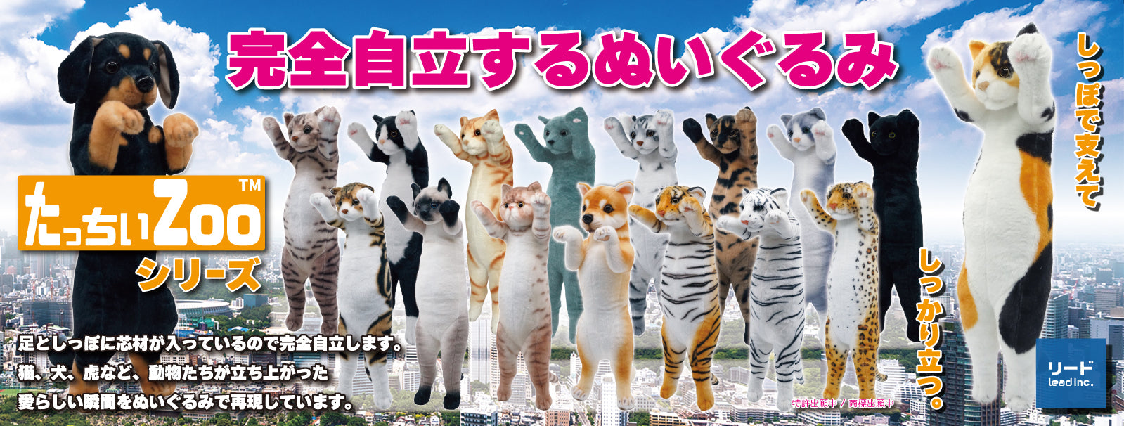 Ayaka Ohashi FUTA Collaboration | Standing ZOO Cat - Tacchii