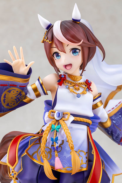 Shiun no Yumemitori Tokai Teio